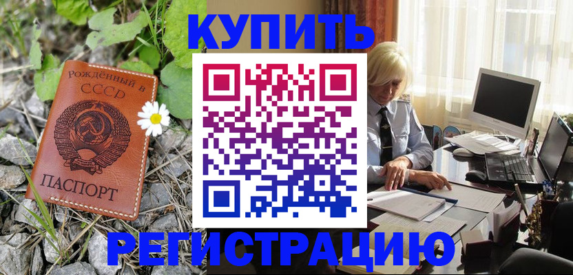 временная регистрация поиск в Тереке